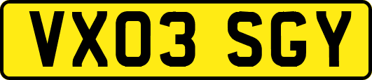VX03SGY