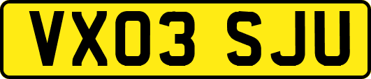 VX03SJU