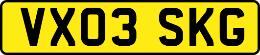 VX03SKG