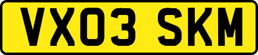 VX03SKM