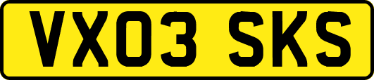 VX03SKS