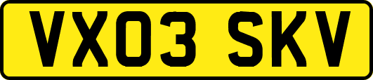 VX03SKV