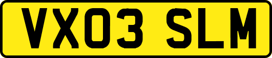 VX03SLM