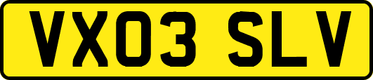 VX03SLV