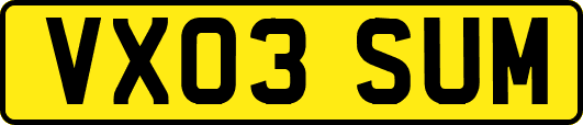 VX03SUM