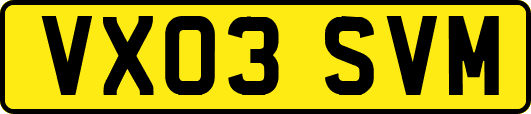 VX03SVM