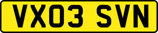 VX03SVN
