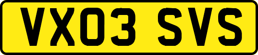 VX03SVS