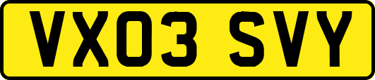 VX03SVY