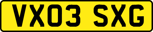 VX03SXG