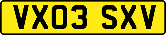 VX03SXV