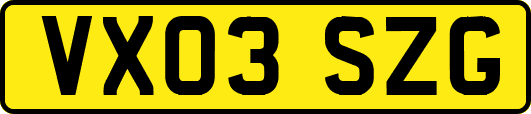 VX03SZG