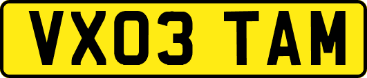 VX03TAM