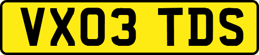VX03TDS