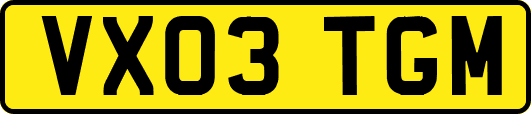 VX03TGM