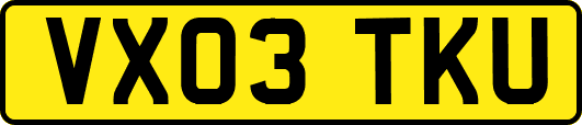 VX03TKU