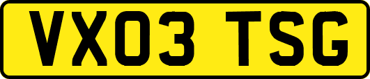 VX03TSG