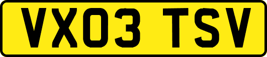 VX03TSV