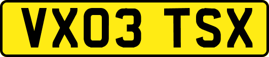 VX03TSX
