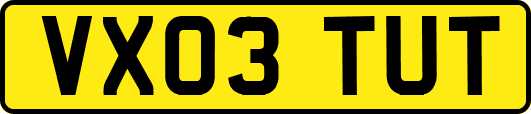 VX03TUT