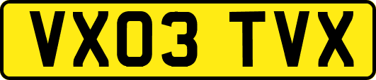 VX03TVX