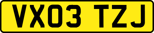 VX03TZJ