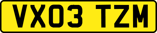 VX03TZM
