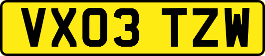 VX03TZW