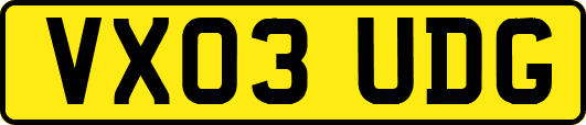 VX03UDG