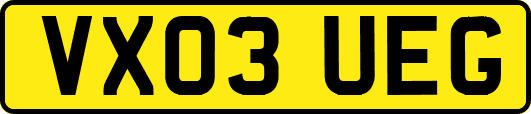 VX03UEG