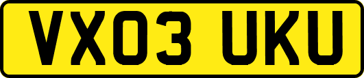VX03UKU