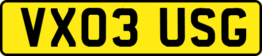 VX03USG