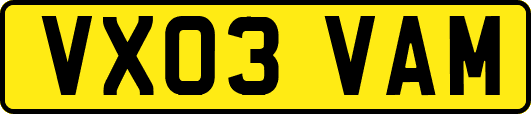 VX03VAM