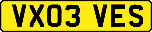 VX03VES