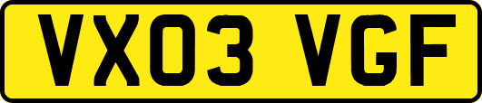 VX03VGF