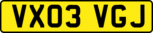 VX03VGJ