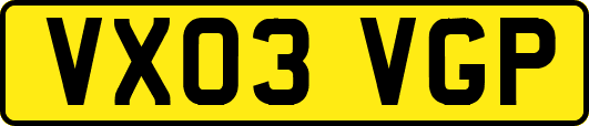 VX03VGP