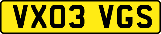 VX03VGS