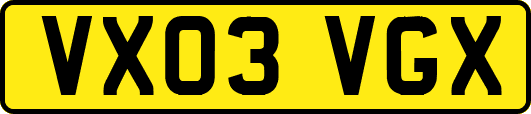 VX03VGX