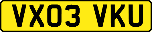 VX03VKU