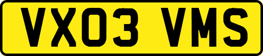 VX03VMS