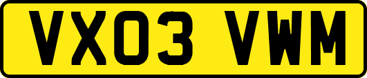VX03VWM