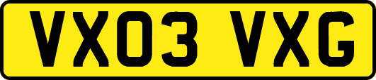 VX03VXG