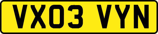 VX03VYN