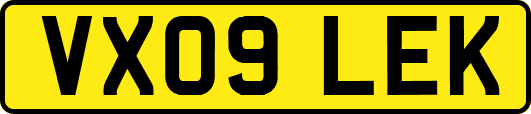 VX09LEK