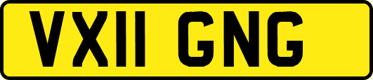 VX11GNG