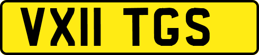 VX11TGS