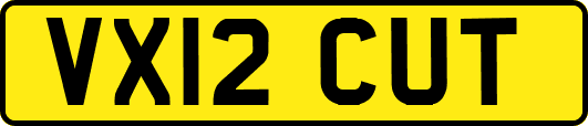 VX12CUT