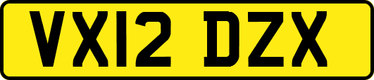 VX12DZX