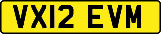 VX12EVM